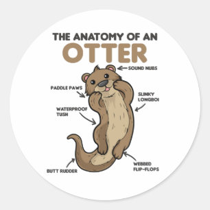Anatomie eines Otters mit niedlicher Otter Runder Aufkleber