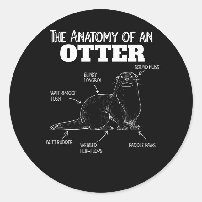 Anatomie eines Otters mit niedlicher Otter Runder Aufkleber (Vorderseite)