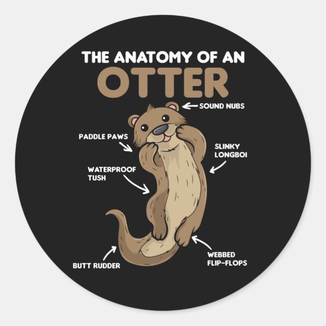 Anatomie eines Otters mit niedlicher Otter Runder Aufkleber (Vorderseite)