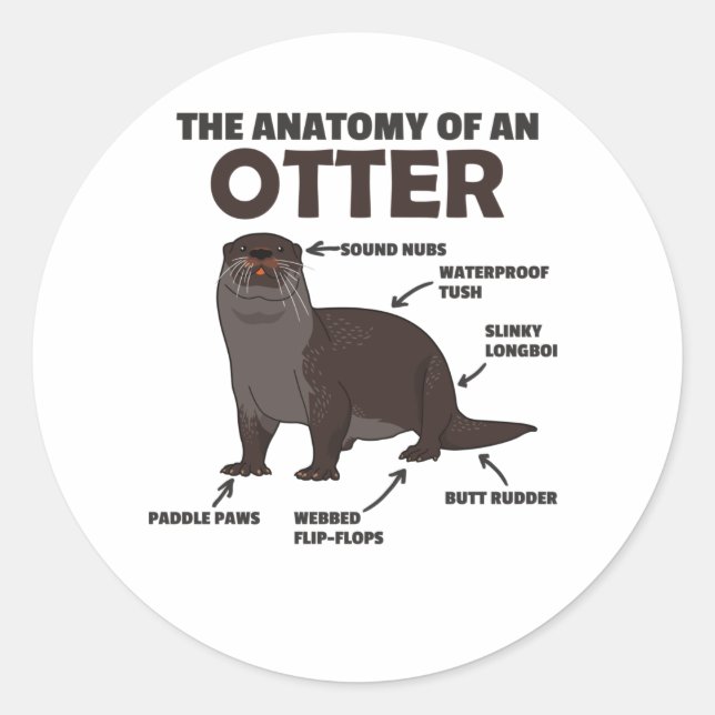 Anatomie eines Otters mit niedlicher Otter Runder Aufkleber (Vorderseite)