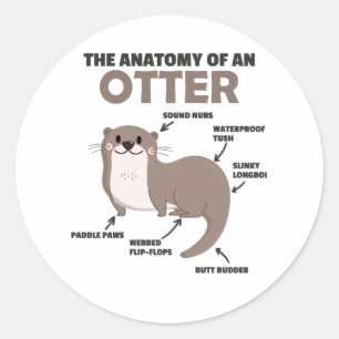 Anatomie eines Otters mit niedlicher Otter Runder Aufkleber