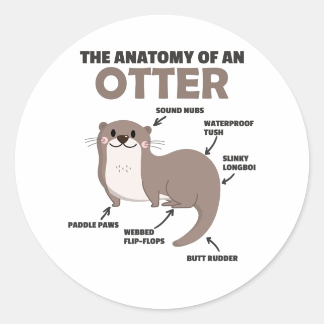 Anatomie eines Otters mit niedlicher Otter Runder Aufkleber (Vorderseite)