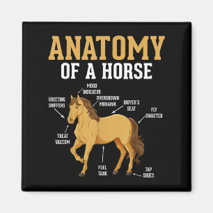 Anatomie eines Pferdes Funny Reittier Neigh Horse Magnet