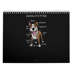 Anatomie eines Pitbull Kalender