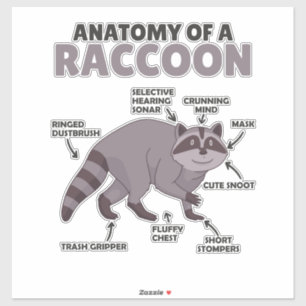 Anatomie eines Raccoon Aufkleber