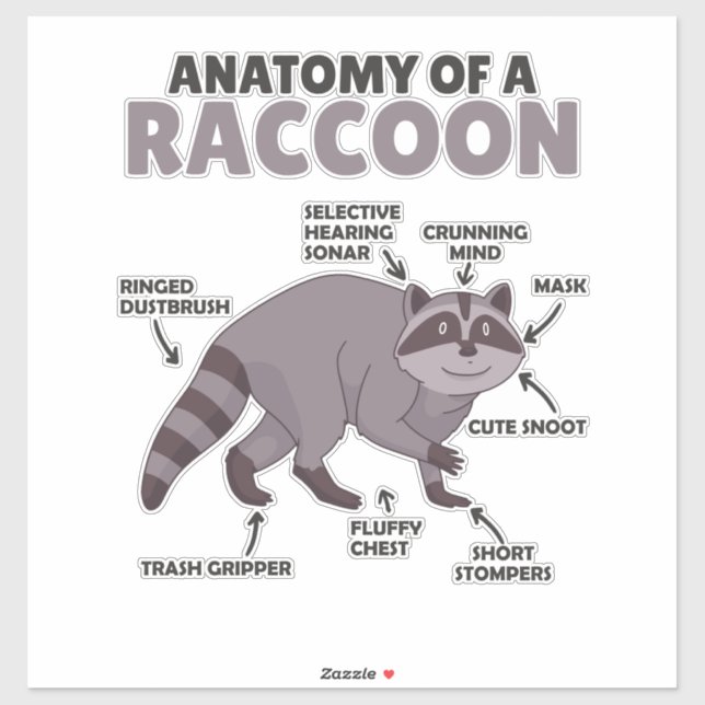Anatomie eines Raccoon Aufkleber (Blatt)