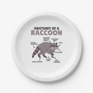Anatomie eines Raccoon Pappteller