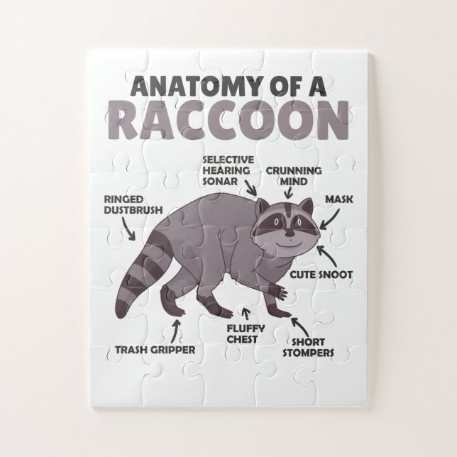 Anatomie eines Raccoon Puzzle (Vertikal)