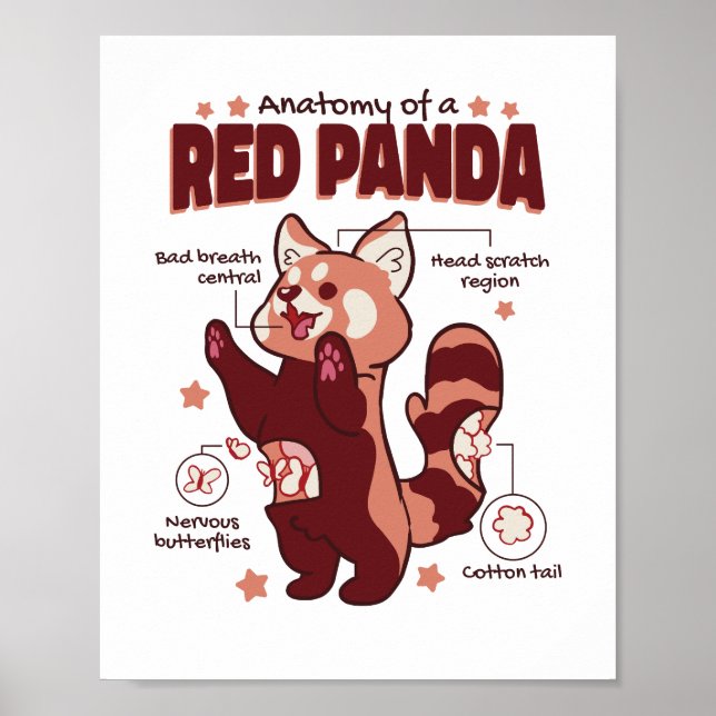 Anatomie eines roten Panda-Tieres Poster (Vorne)