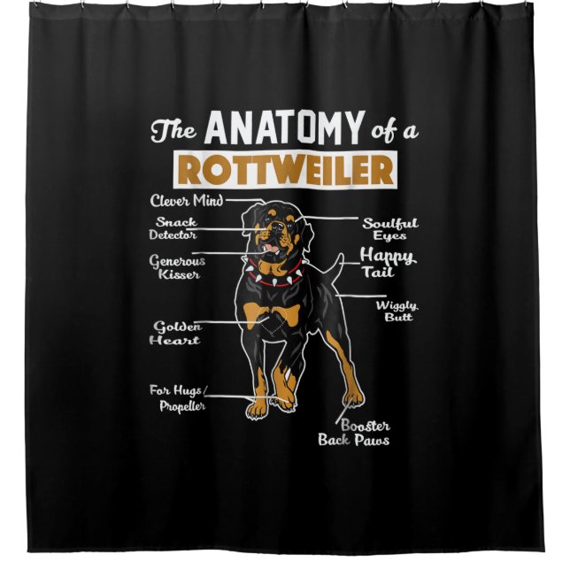 Anatomie eines Rottweilers Duschvorhang (Vorderseite)