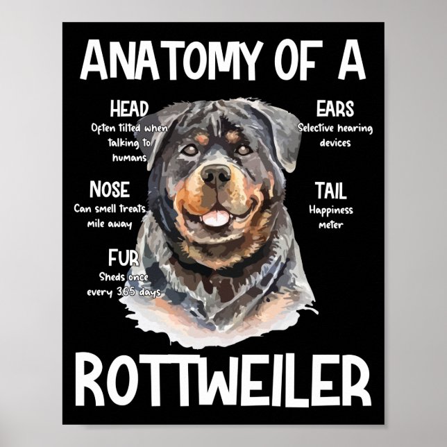 Anatomie eines Rottweilers für Hundeliebhaber Poster (Vorne)