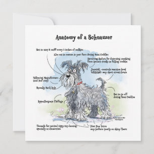 Anatomie eines Schnauzer Funny Notecard Mitteilungskarte