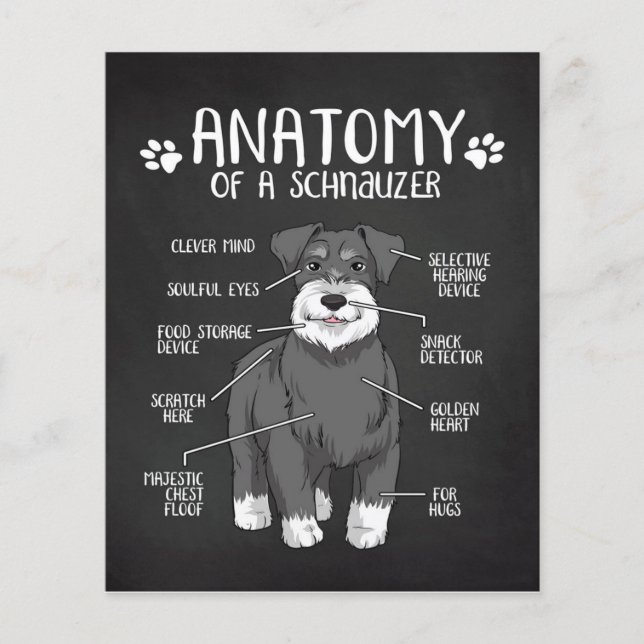 Anatomie eines Schnauzer-Lover-Geschenks Flyer (Vorne)