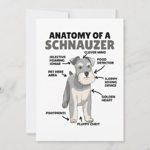 Anatomie eines Schnauzer-Niedlichen Hundes Einladung