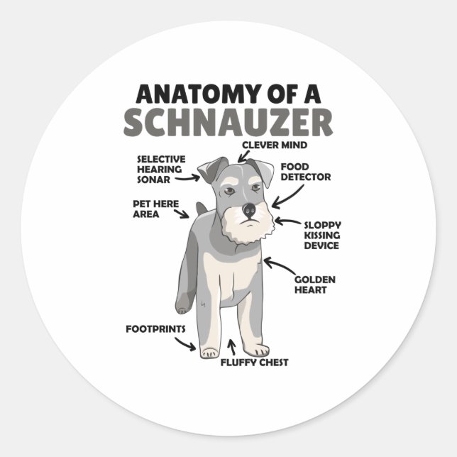 Anatomie eines Schnauzer-Niedlichen Hundes Runder Aufkleber (Vorderseite)