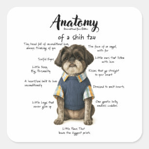 Anatomie eines Shihtzu Unbedingte Liebe Edition  Quadratischer Aufkleber
