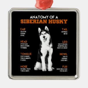 Anatomie eines sibirischen Husky-Hundes lustige Ku Ornament Aus Metall