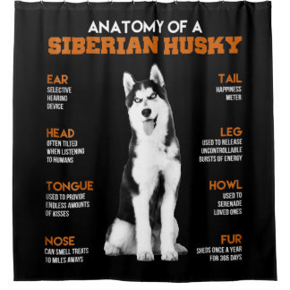 Anatomie eines sibirischen Husky-Hundes witzig Kun Duschvorhang
