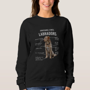 Anatomie eines sonnigen Labrador Retriever Hundes Sweatshirt