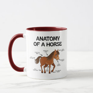 Anatomie eines süßen Pferdes, Equine wissenschaftl Tasse