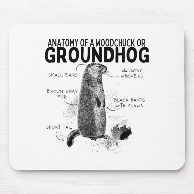 Anatomie eines Waldmurmeltiers oder eines Murmelti Mousepad (Vorne)