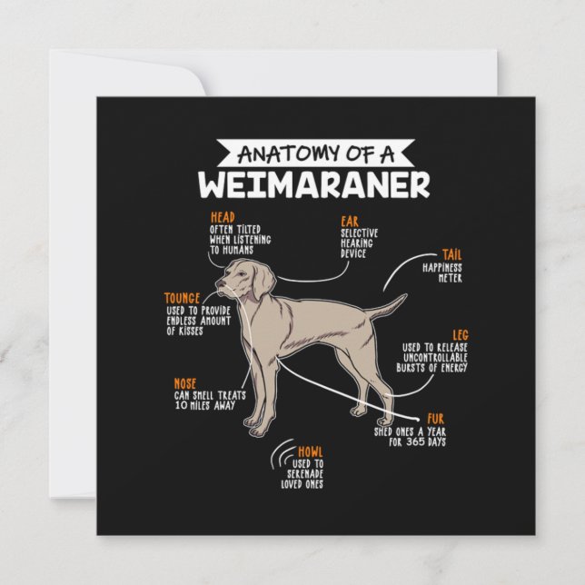 Anatomie eines Weimaraner-Hundes Einladung (Vorderseite)