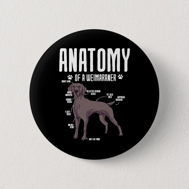 Anatomie eines Weimaraners Button (Vorderseite)