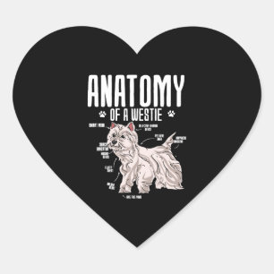 Anatomie eines westlichen Hochlands Herz-Aufkleber