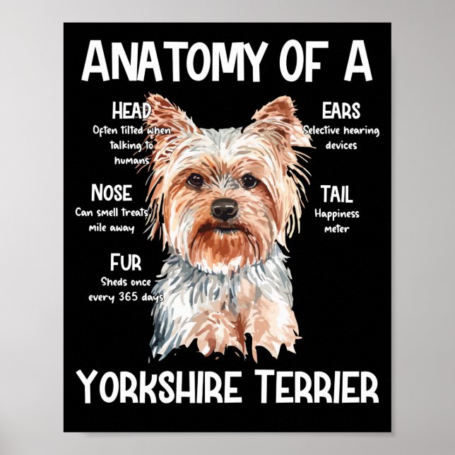 Anatomie eines Yorkshire Terrier für Hundeliebhabe Poster (Vorne)