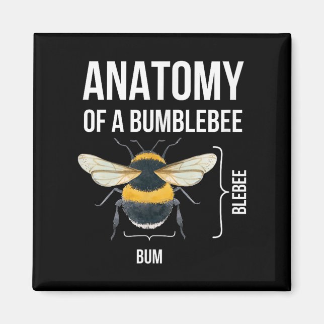 Anatomie eines Zitats eines Hummeln-Funny-Sarcasti Magnet (Vorne)