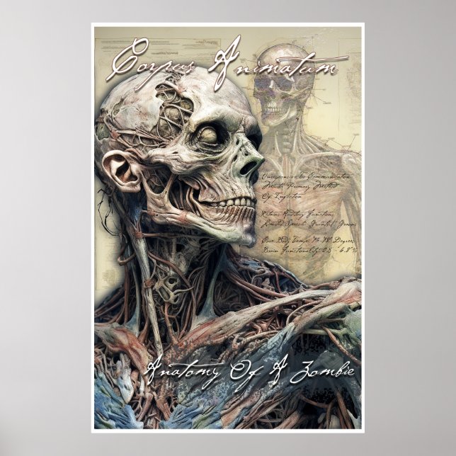 Anatomie eines Zombie II Poster (Vorne)