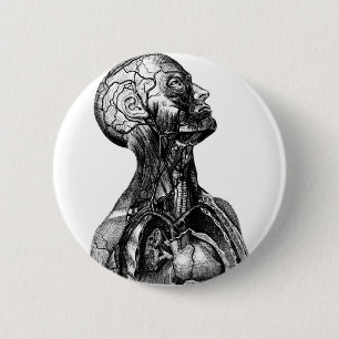 Anatomie-Fehlschlag Button