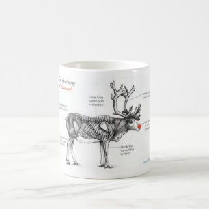 Anatomie geistreicher Illustrationen Rudolphs Tasse