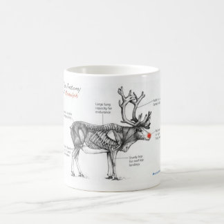 Anatomie geistreicher Illustrationen Rudolphs Tasse