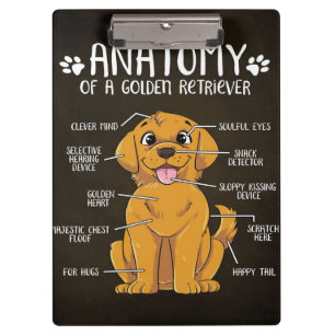 Anatomie Golden Retriever Golden Retriever Lover Klemmbrett