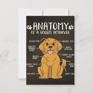Anatomie Golden Retriever   Golden Retriever Lover RSVP Karte