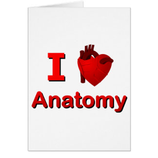 Anatomie I <3
