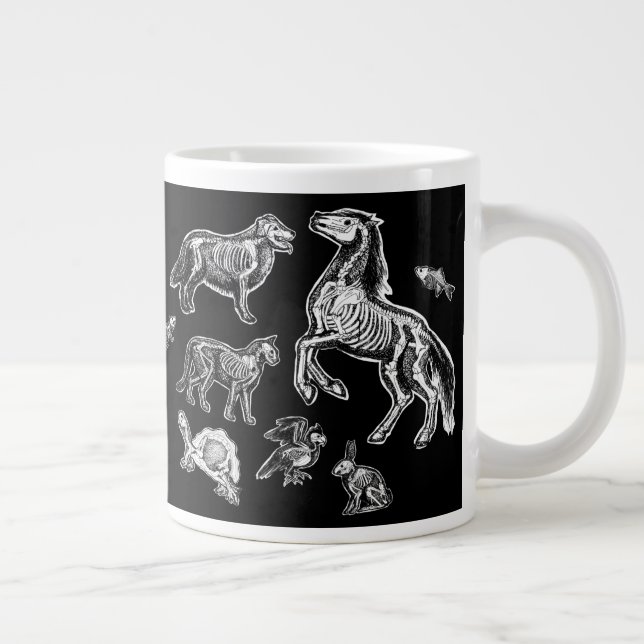 Anatomie Jumbo-Tasse (Rechts)