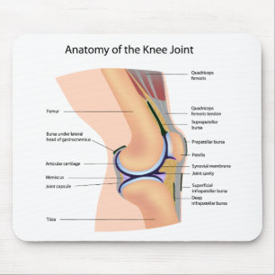 Anatomie menschlichen Kniegelenk mousepad