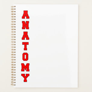 Anatomie Planer