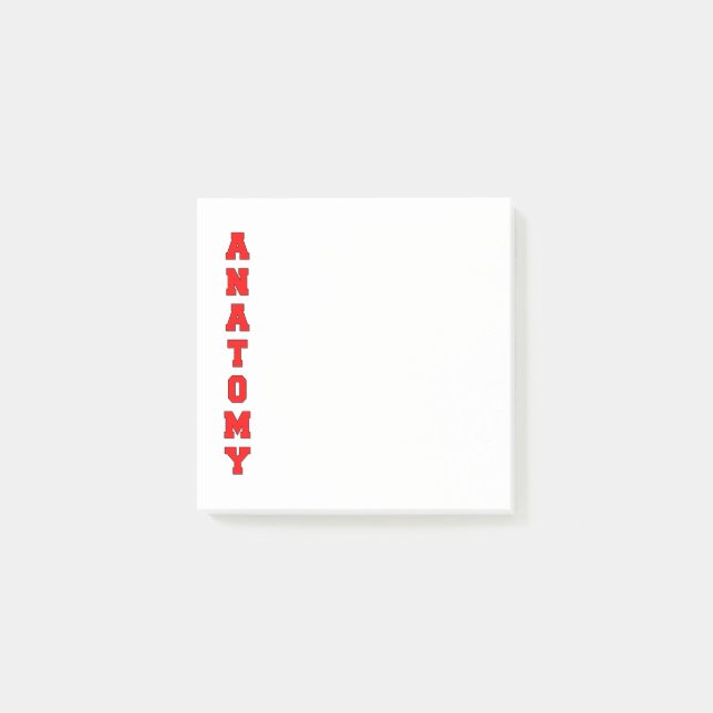 Anatomie Post-it Klebezettel (Vorderseite)