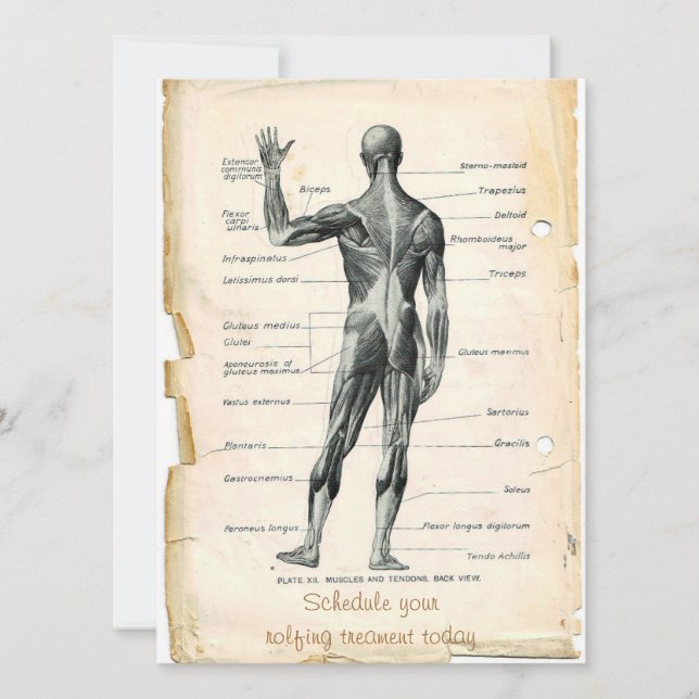 Anatomie Posterior Einladung (Vorderseite)