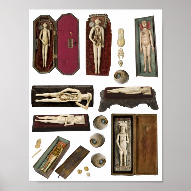 Anatomie-Puppen Körperteile Kollage Poster (Vorne)