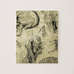 Anatomie-Schädel im Vintage-Stil Puzzle