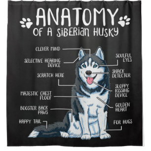 Anatomie Siberischer Husky Eigenhändlerin Duschvorhang
