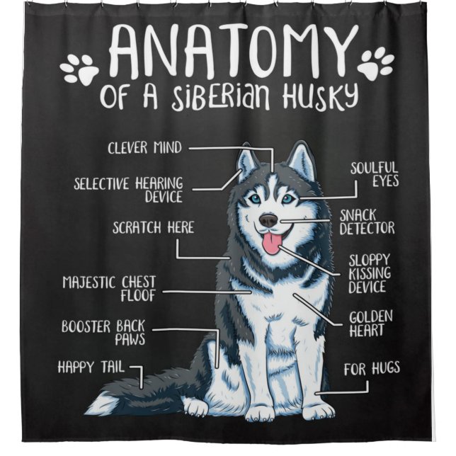 Anatomie Siberischer Husky| Eigenhändlerin Duschvorhang (Vorderseite)
