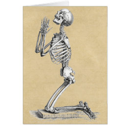 Anatomie Skeleton Illustration Grußkarte