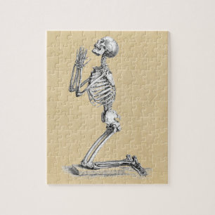 Anatomie Skeleton Illustration Puzzle