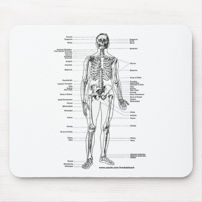 ANATOMIE-SKELETON T - SHIRTS UND GESCHENKE MOUSEPAD (Vorne)
