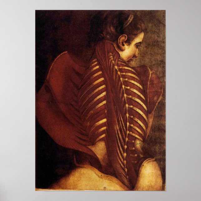 Anatomie/Skelett des hinteren weiblichen Posters Poster (Vorne)